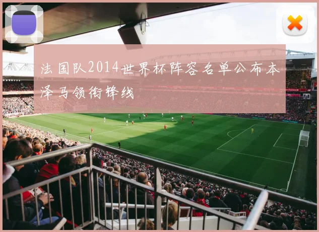 法国队2014世界杯阵容名单公布本泽马领衔锋线