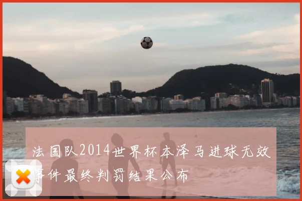 法国队2014世界杯本泽马进球无效事件最终判罚结果公布
