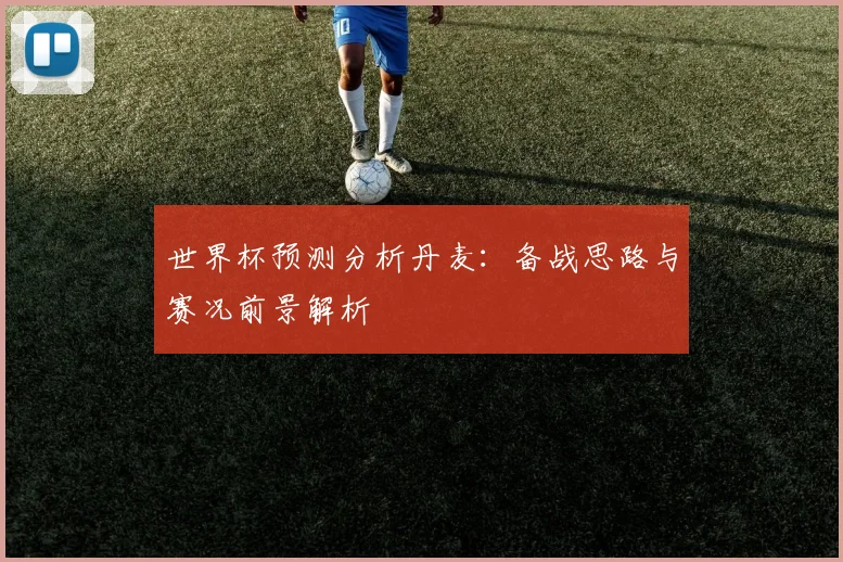 世界杯预测分析丹麦：备战思路与赛况前景解析