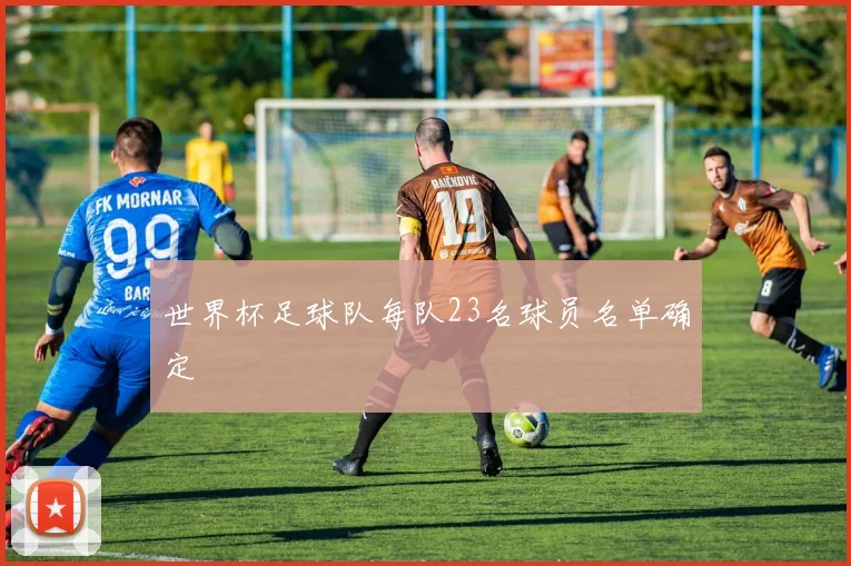 世界杯足球队每队23名球员名单确定