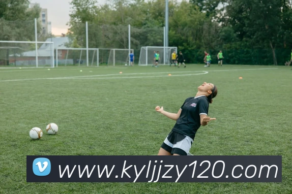 开云手机在线登录官网APP 封面图